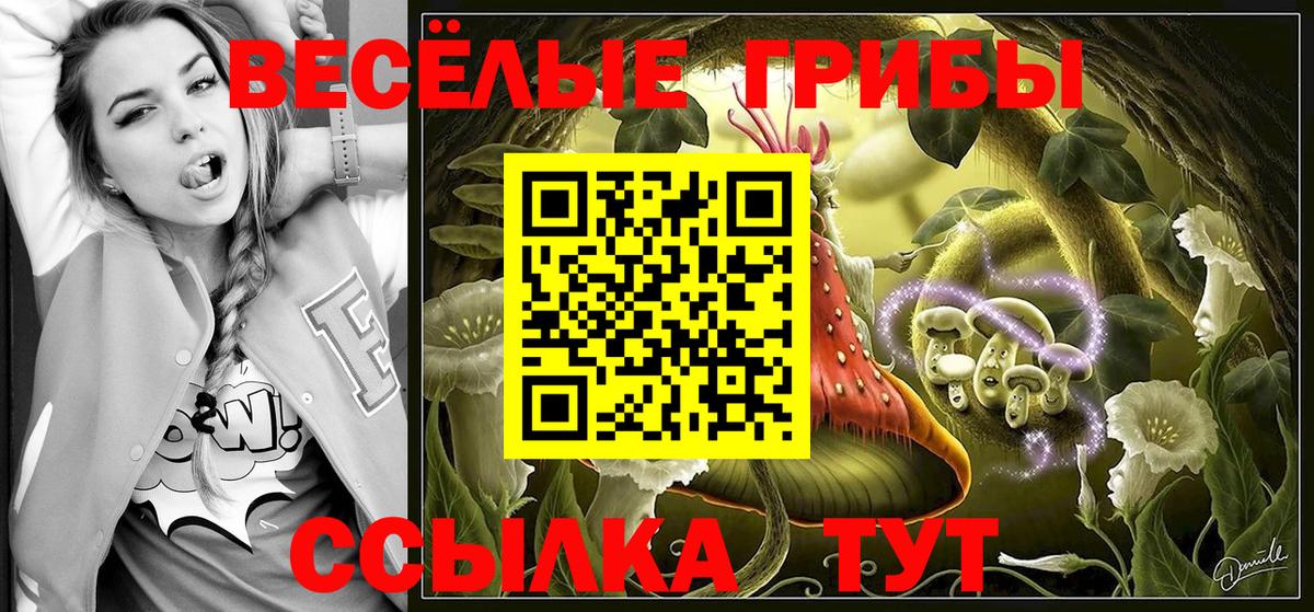Псилоцибиновые грибы прущие грибы  Вход с VPN  Среднеуральск 